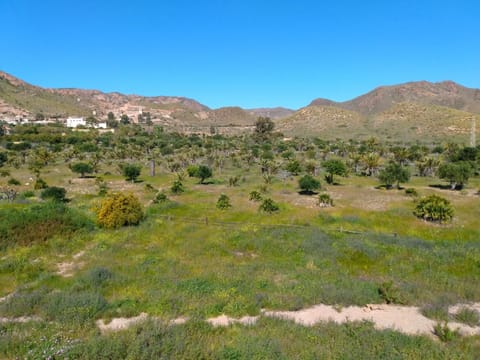 Natural landscape