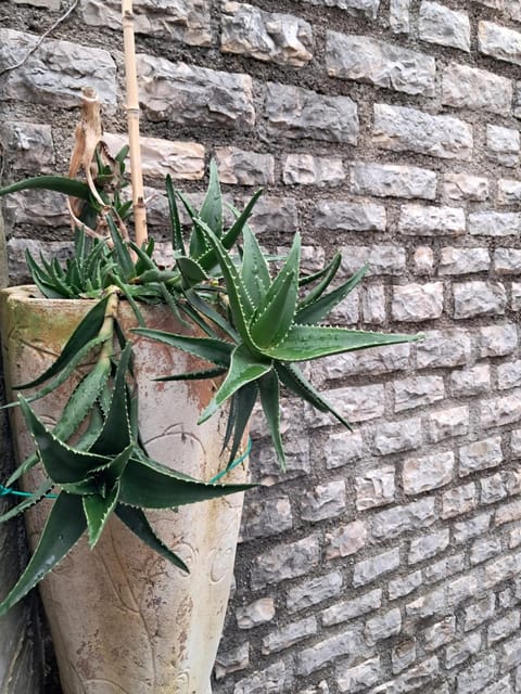 Lucky Apartments Apartment in Dubrovnik-Neretva County