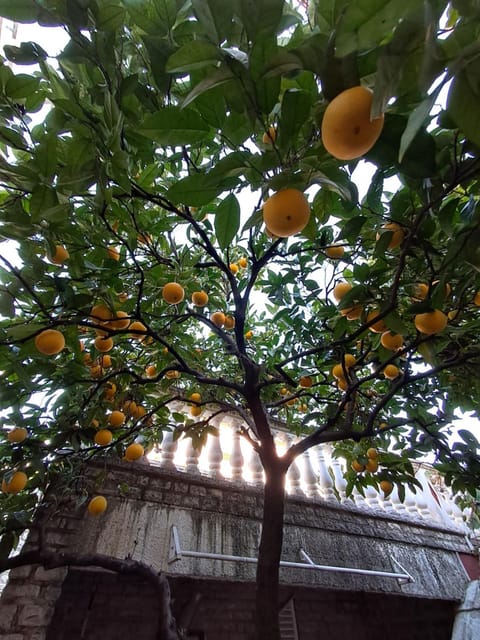 Lucky Apartments Apartment in Dubrovnik-Neretva County