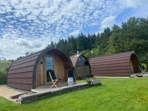 Stoneymollan over Loch Lomond Nature lodge in Scotland