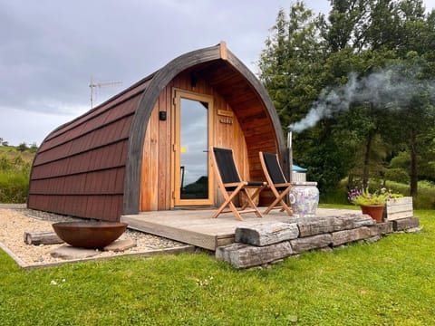 Stoneymollan over Loch Lomond Nature lodge in Scotland