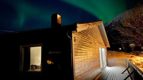 EG Apartment Apartment in Lofoten