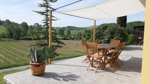 Patio, Spring, Day, Natural landscape, Garden, Garden view