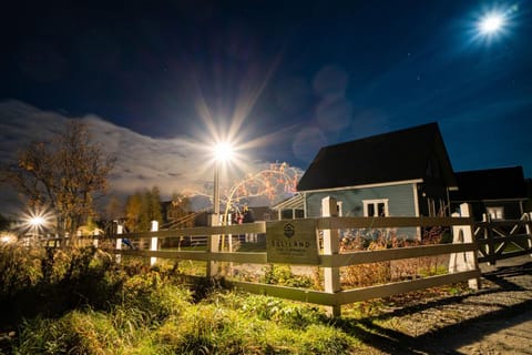 Property building, Night, Garden view