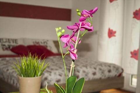 Apartment BELLA VISTA Apartment in Bolzano