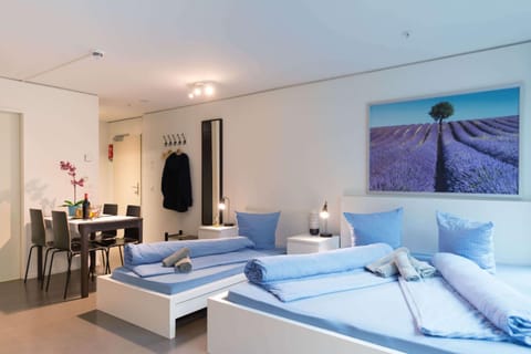 HITrental Allmend Comfort Studios Apartment in Lucerne