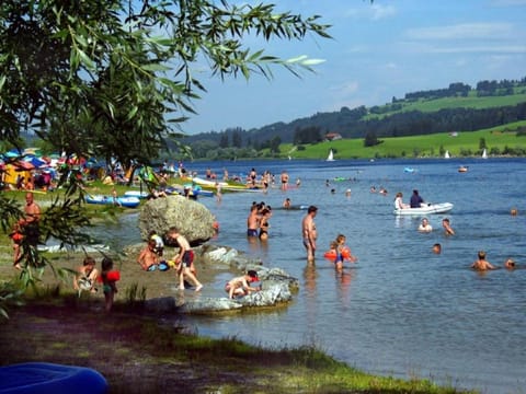 Activities, Lake view, Sports