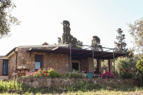 Narcisi House in Sardinia