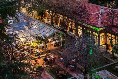 Restaurant/places to eat, Food, Area and facilities