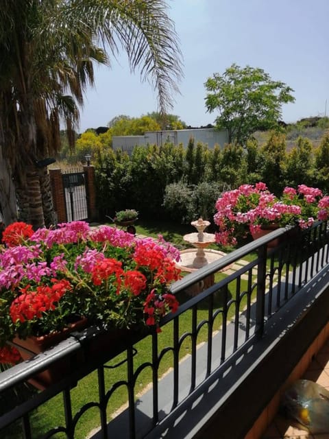 Garden view