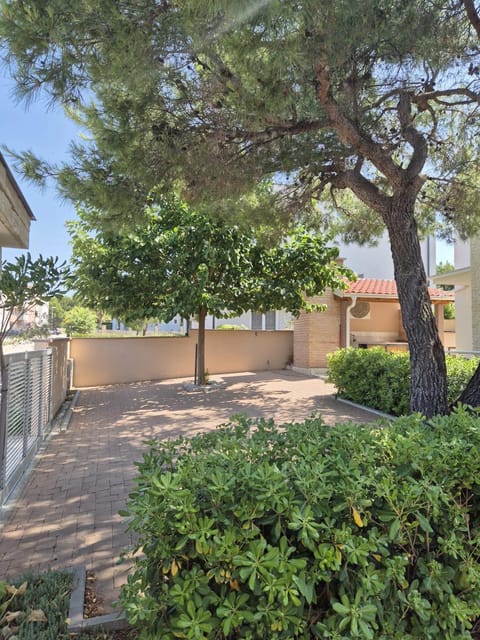 Pine Tree Villa Villa in Biograd na Moru