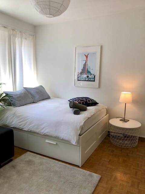 Central Geneva Studio with free Travel Pass Apartment in Geneva