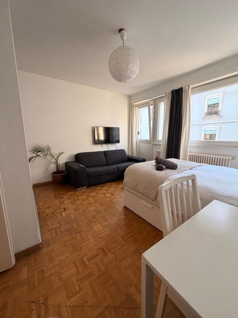 Central Geneva Studio with free Travel Pass Apartment in Geneva