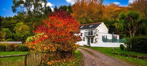 Property building, Natural landscape, Garden view