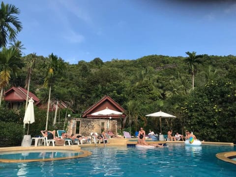 Pool view, Swimming pool