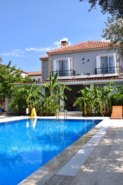 Property building, Day, Pool view, Swimming pool