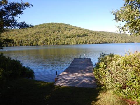 Lake view