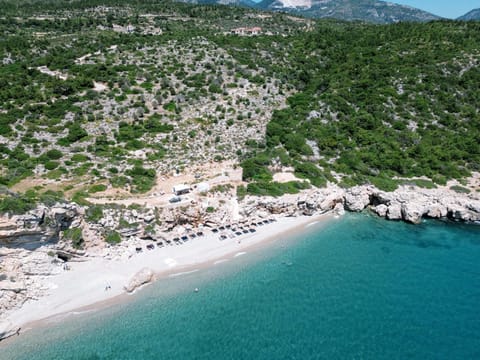 Natural landscape, Beach