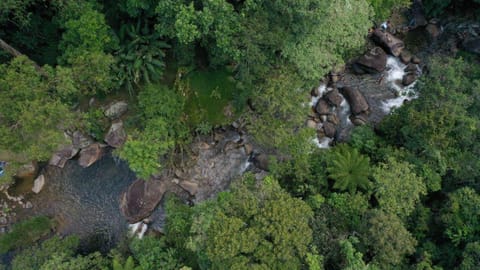 Chalés Aguá Cristalina Nature lodge in State of Rio de Janeiro