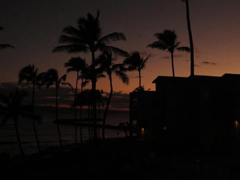 Maalaea Kai 316 condo Apartment in Maalaea