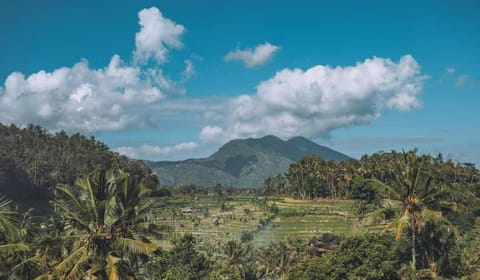 Natural landscape, View (from property/room), Mountain view