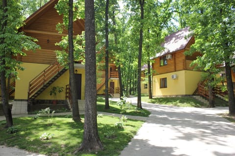 Property building, Facade/entrance, Day, Natural landscape, Summer, Garden, On site