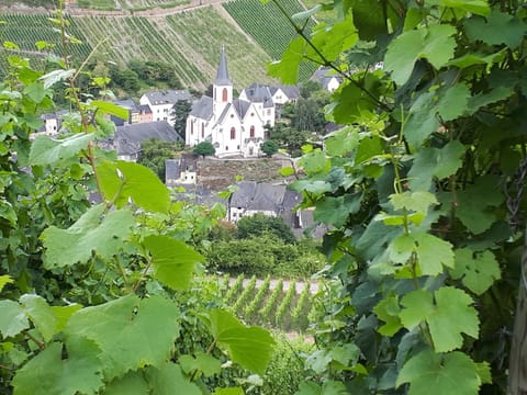 Altes Winzerhaus House in Graach an der Mosel