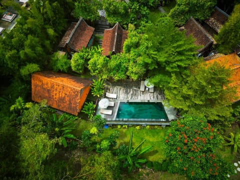Property building, Spring, Day, Natural landscape, Bird's eye view, Garden, Garden view, Pool view, Swimming pool