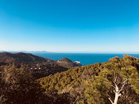 Sea view