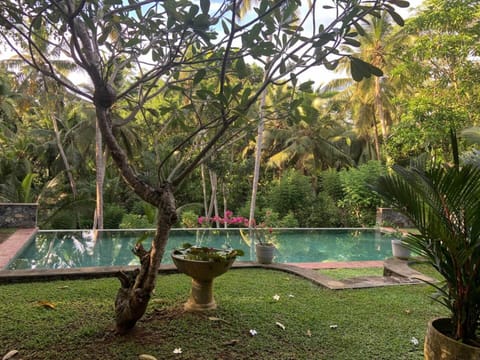 Day, Natural landscape, Garden, Garden view, Pool view, Swimming pool, sunbed