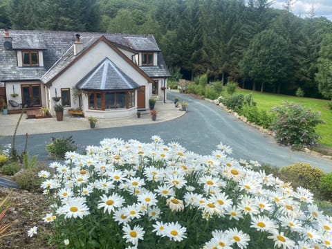 FOREST VIEW Woodland lodge Country House in Wicklow, Co. Wicklow, Ireland