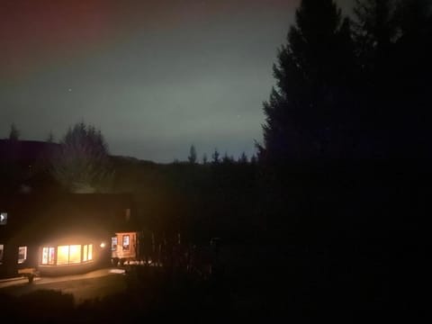 FOREST VIEW Woodland lodge Country House in Wicklow, Co. Wicklow, Ireland