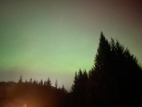 FOREST VIEW Woodland lodge Country House in Wicklow, Co. Wicklow, Ireland