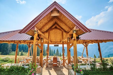 Restaurant/places to eat, Dining area