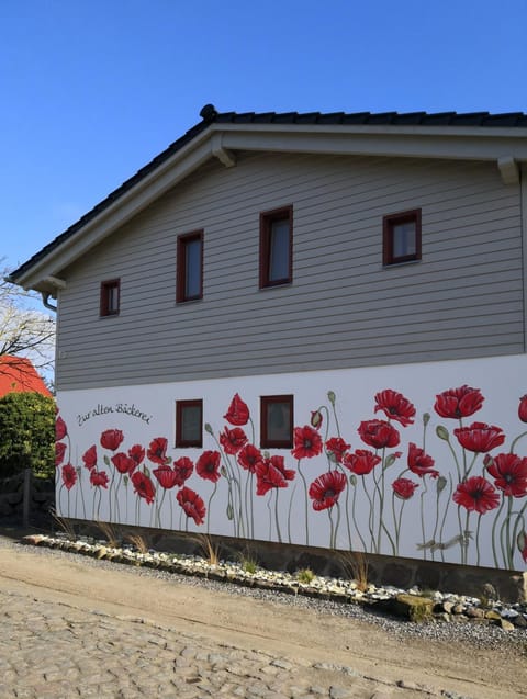 Property building, Spring, Day, Garden, Garden view