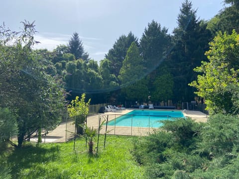 Spring, Day, Natural landscape, Garden, Garden view, Pool view, Swimming pool, sunbed