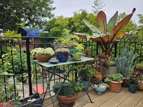 The Greenhouse Vacation rental in Portsmouth