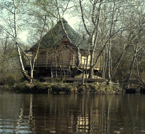 Natural landscape