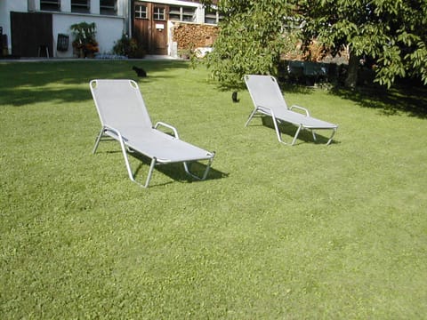 Spring, Day, Garden, Garden view, sunbed