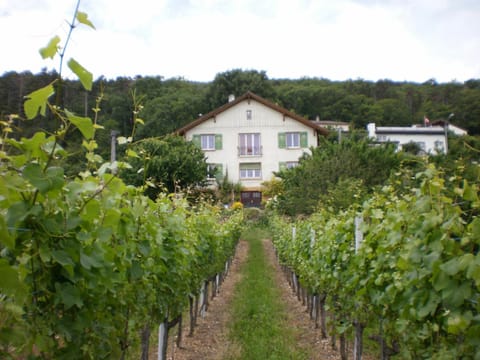 Property building, Natural landscape