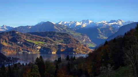 Boutique Hotel Himmelrich Hotel in Nidwalden