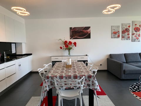 Spacious Luxury 2BR flat with Parking - Luxembourg gare Apartment in Luxembourg