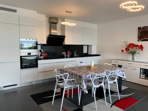 Spacious Luxury 2BR flat with Parking - Luxembourg gare Apartment in Luxembourg