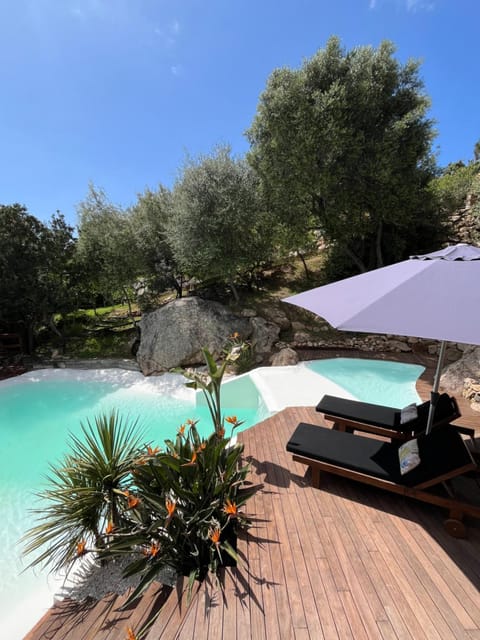 Natural landscape, Garden, Pool view, Swimming pool, sunbed