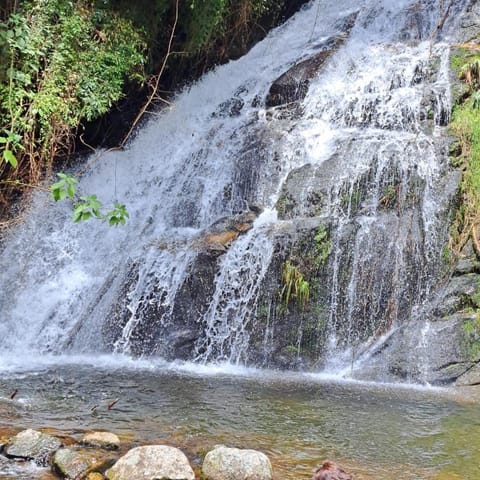 Chalé da Cachoeira - Cachoeira particular dentro da hospedagem House in Nova Friburgo