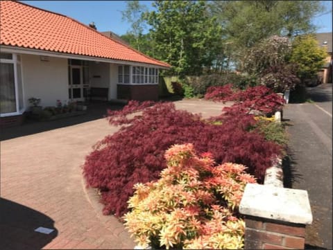 Property building, Spring, Day, Garden, Garden view