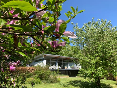 View (from property/room), Garden view