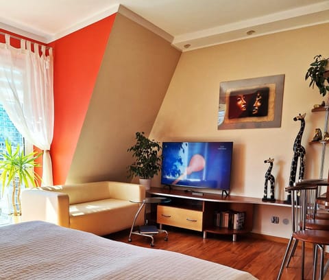 Evening entertainment