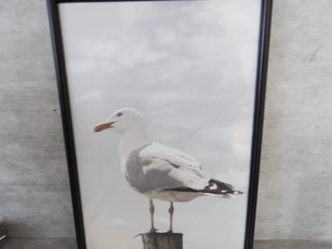 50090.... Apartment in Wittmund