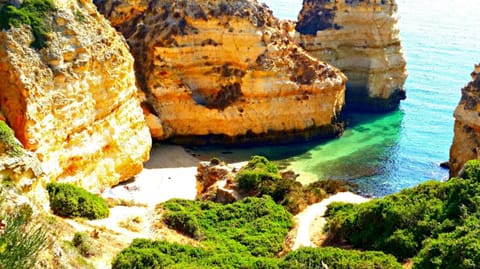 Natural landscape, Beach, Hiking